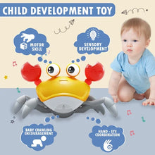 Crabby Crawly Fun-Running Crab Toy