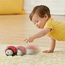 Ladybug Ball Blower