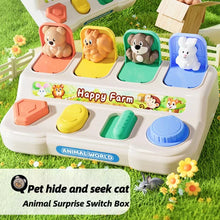 Pop Up Animals Toy