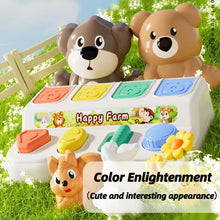 Pop Up Animals Toy