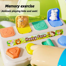 Pop Up Animals Toy